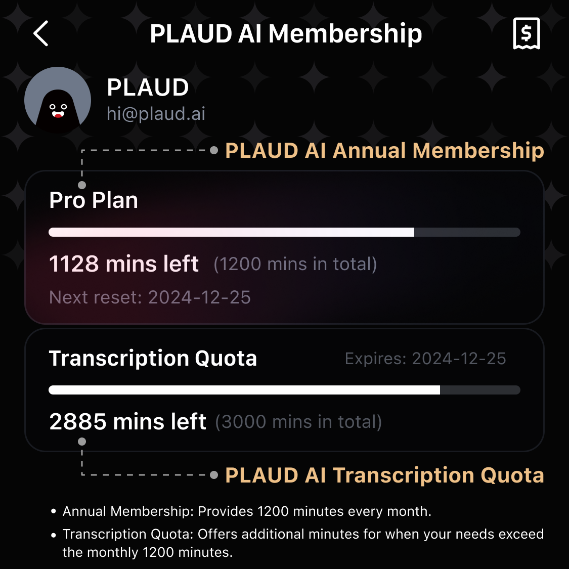 PLAUD AI Transcription Quota (3,000mins)
